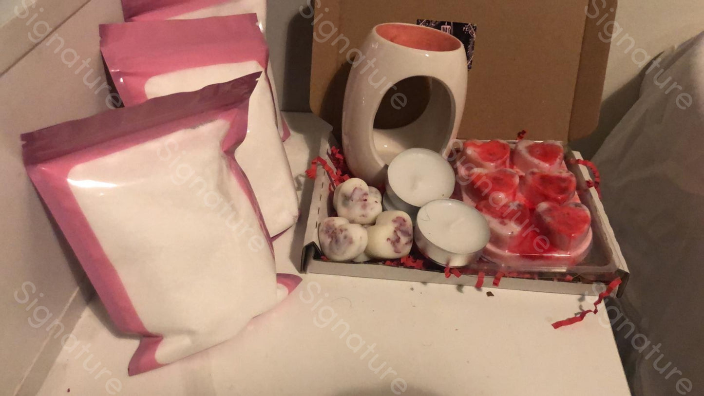 Wax melt starter bundle