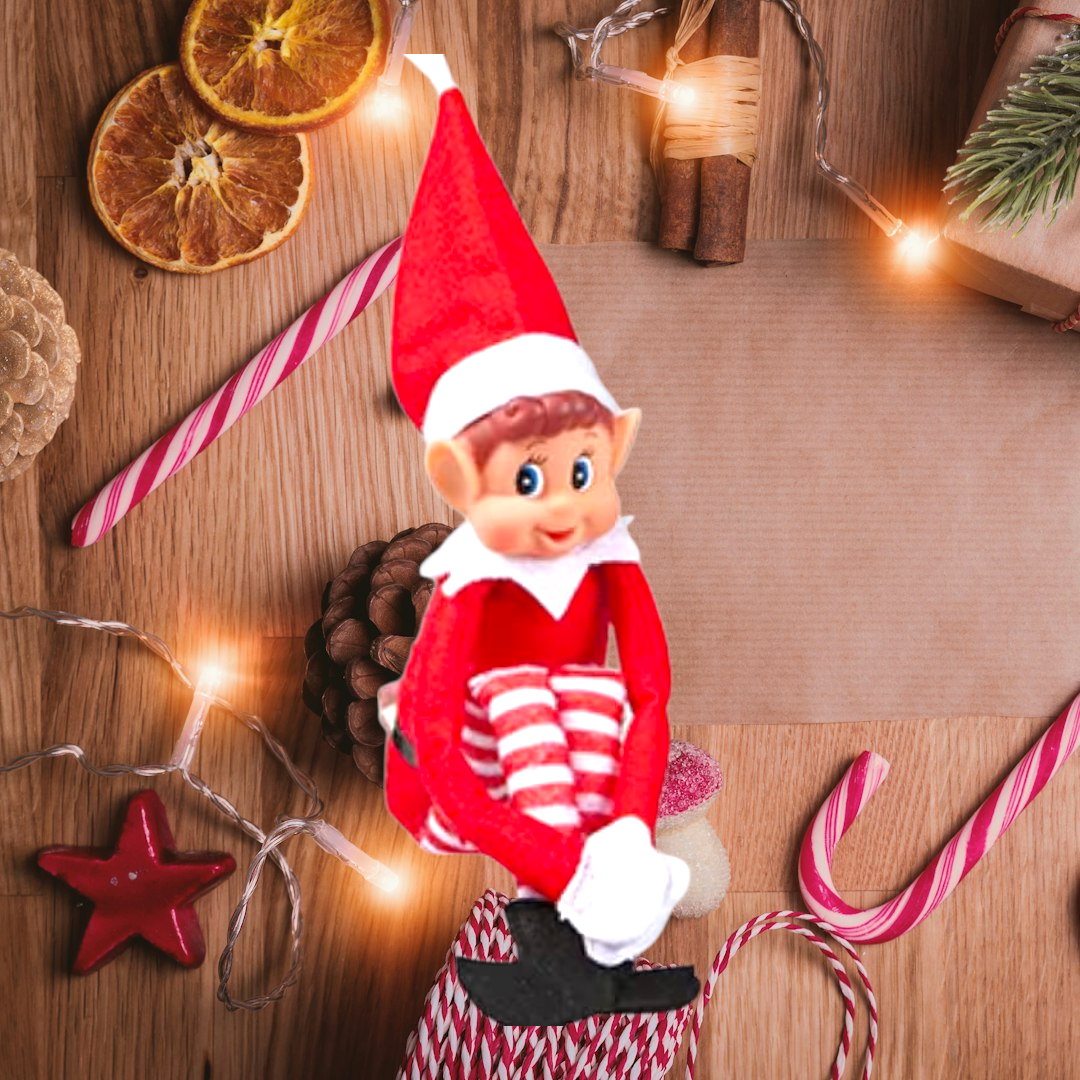 Elf Delivery Box