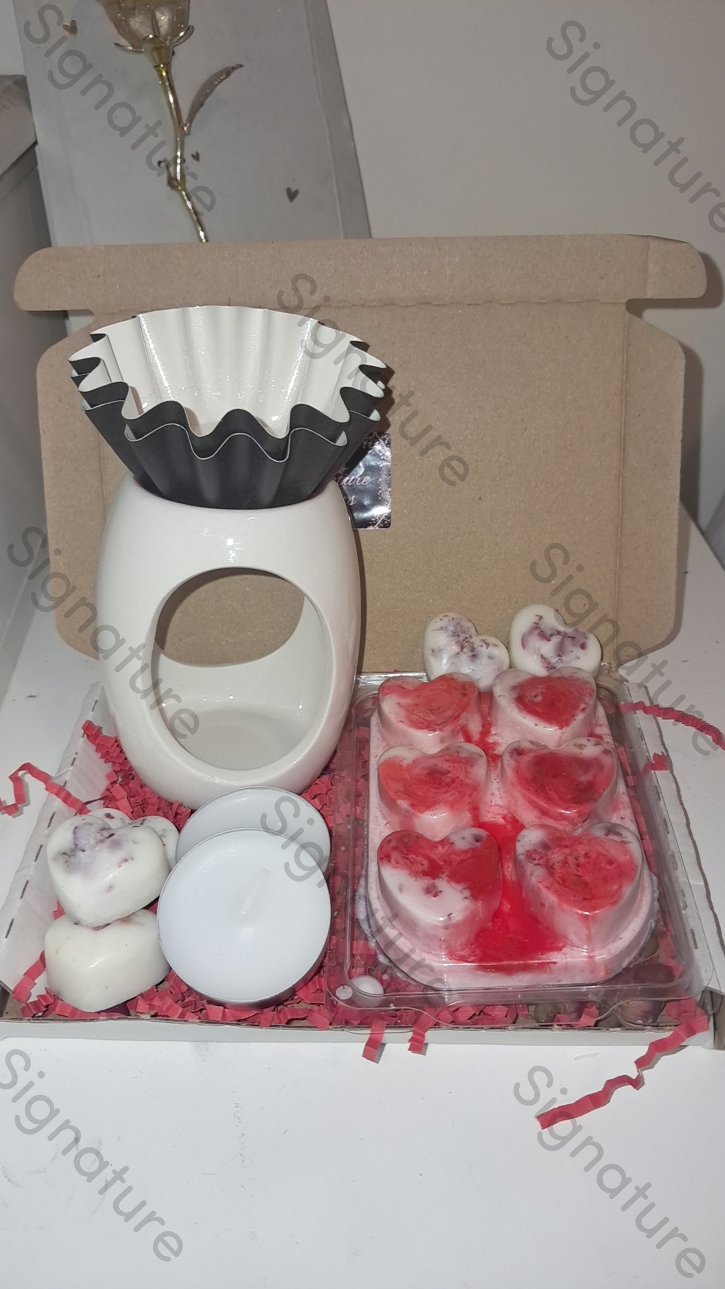 Wax melt starter bundle