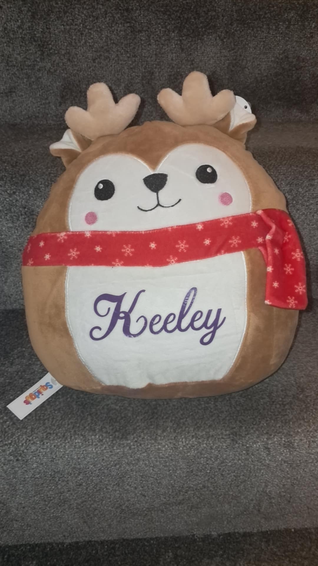Personalised Teddies
