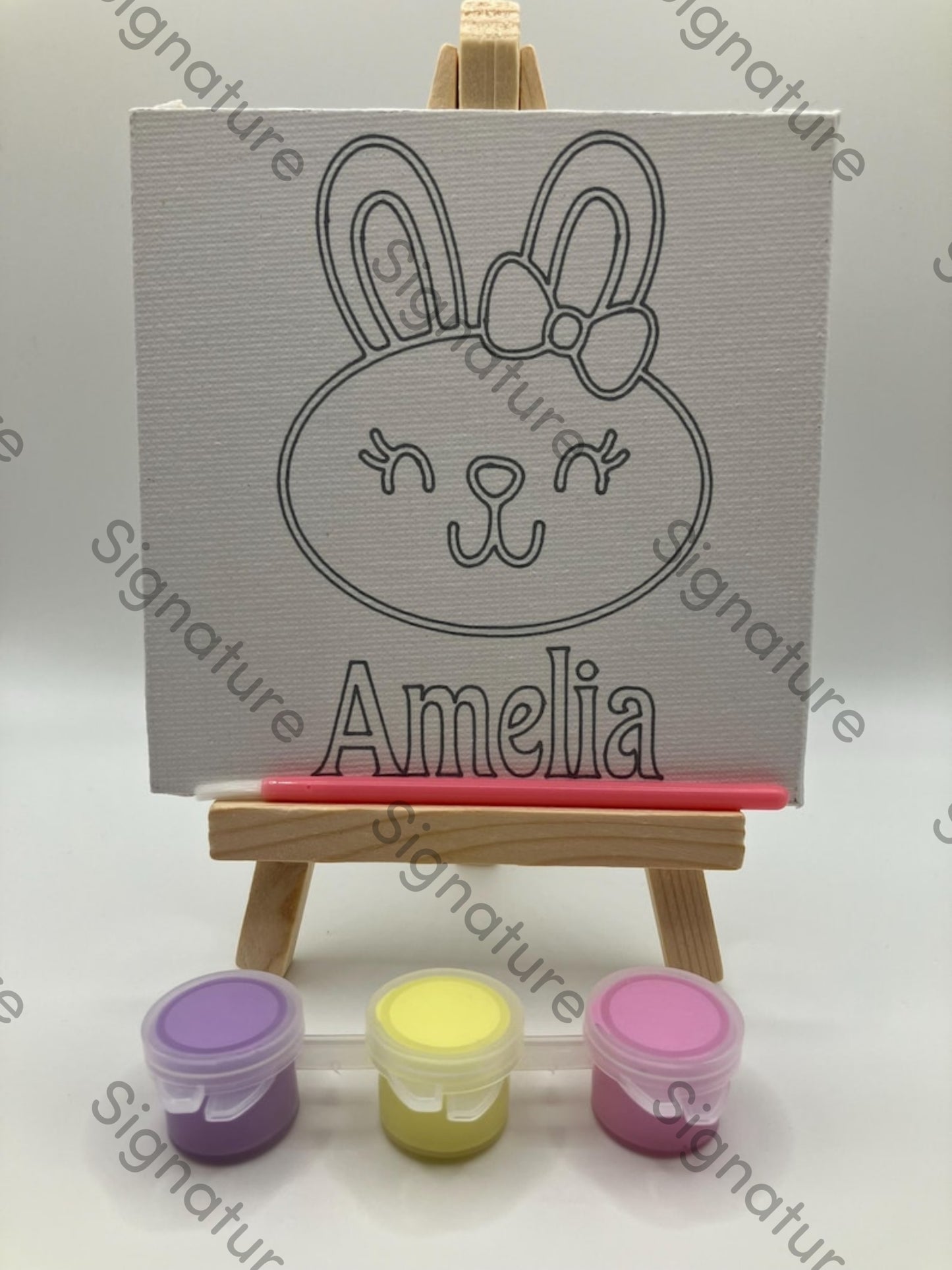 Personalised paint your own canvas kit